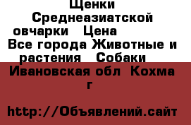 Щенки Среднеазиатской овчарки › Цена ­ 30 000 - Все города Животные и растения » Собаки   . Ивановская обл.,Кохма г.